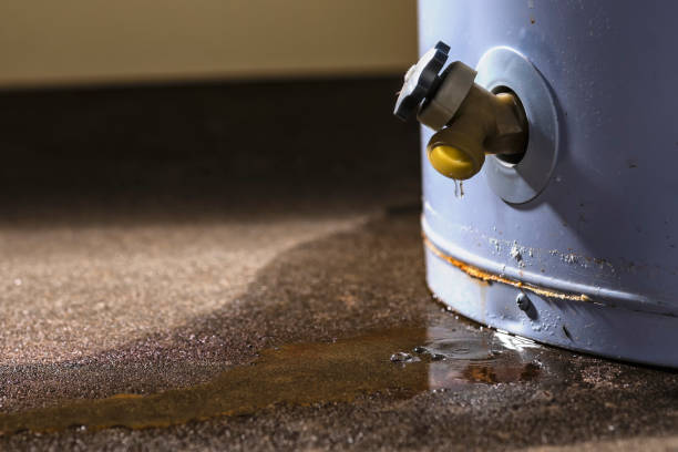 Best Commercial water damage restoration  in Smith Mills, MA