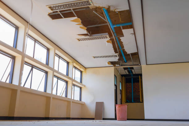 Water damage restoration mold remediation in Smith Mills, MA
