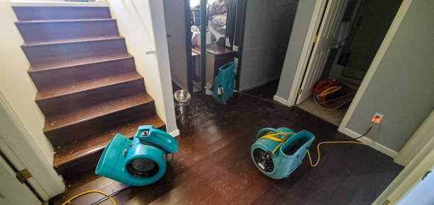 Best Water damage restoration experts  in Smith Mills, MA