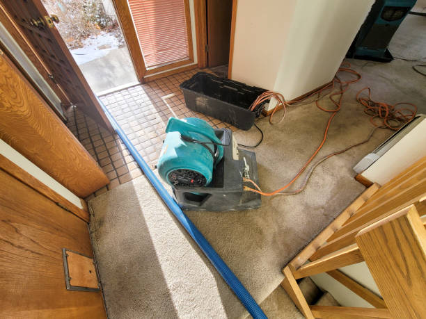 Best Flooded house restoration  in Smith Mills, MA