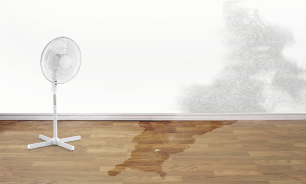 Water damage restoration experts in Smith Mills, MA