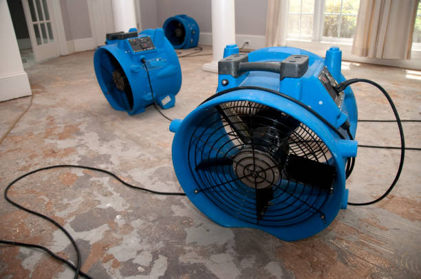Best Sewage cleanup and water damage restoration  in Smith Mills, MA