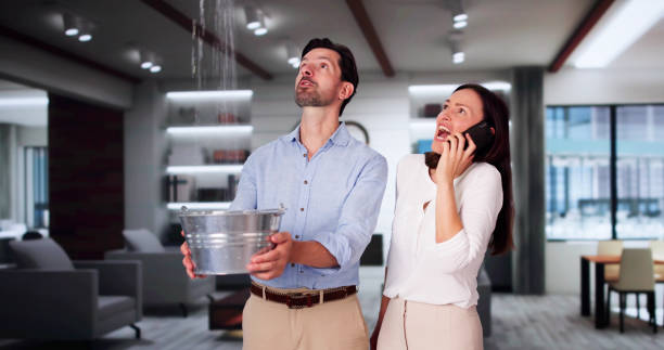 Best Water damage restoration process  in Smith Mills, MA