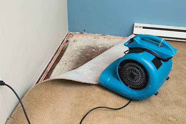 Best Water damage restoration near me  in Smith Mills, MA